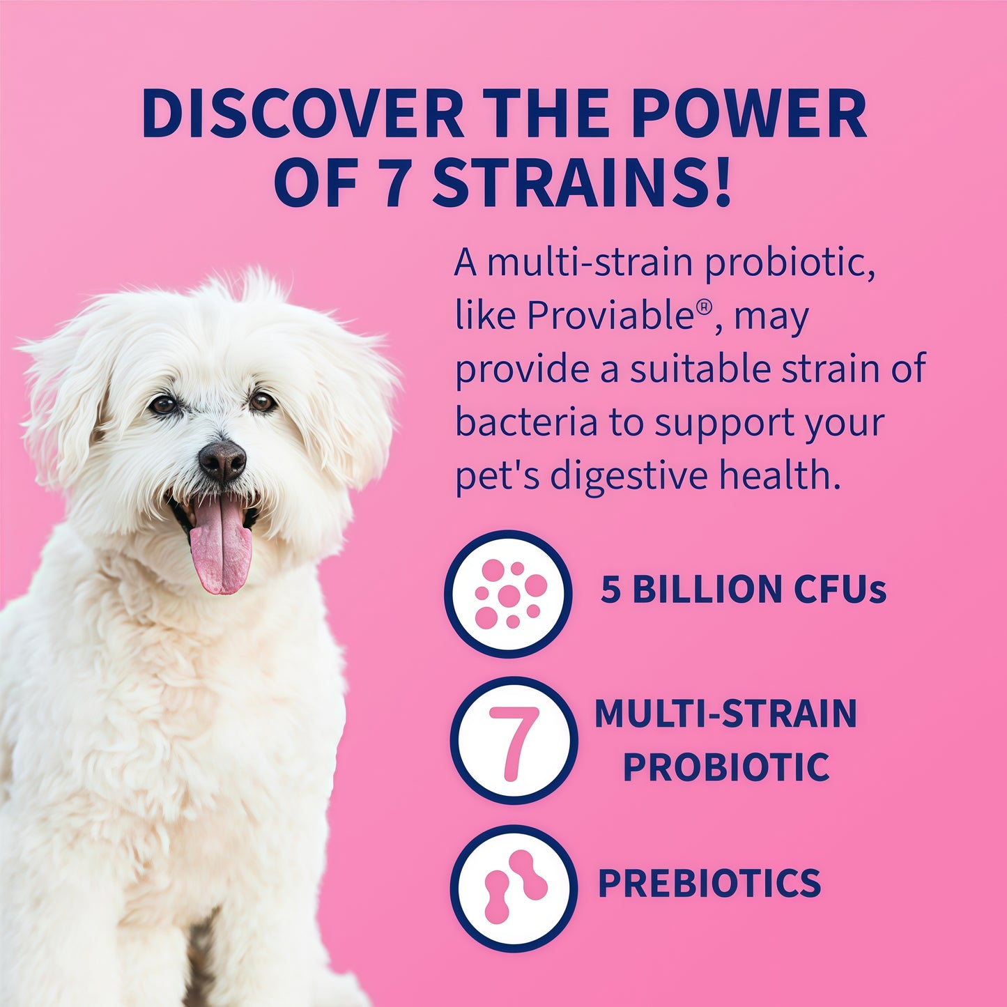 Nutramax Proviable Probiotics for Dogs 80 Capsules