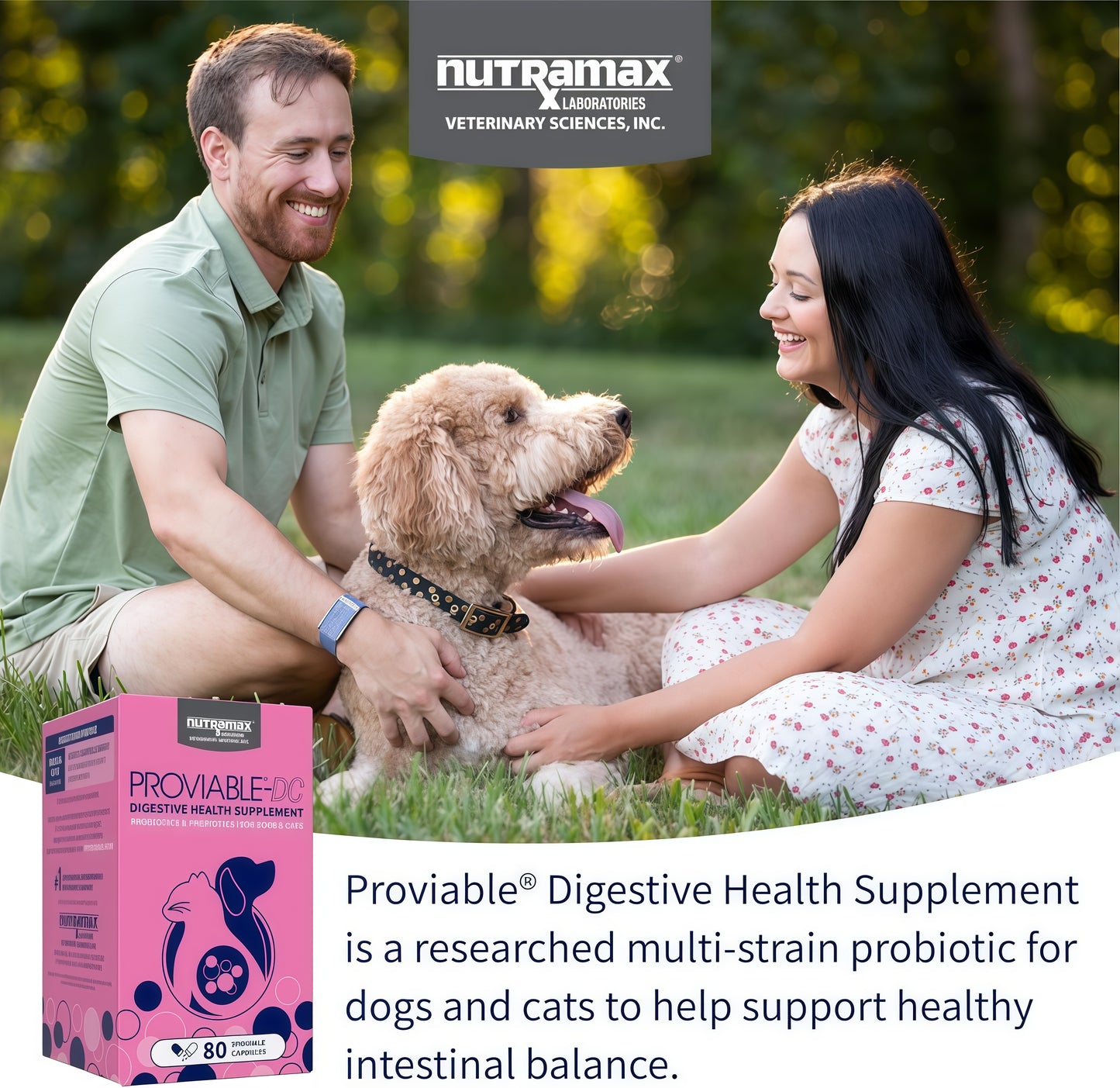 Nutramax Proviable Probiotics for Dogs 80 Capsules