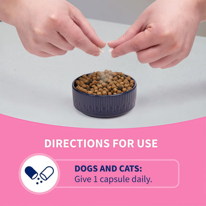 Nutramax Proviable Probiotics for Dogs 80 Capsules